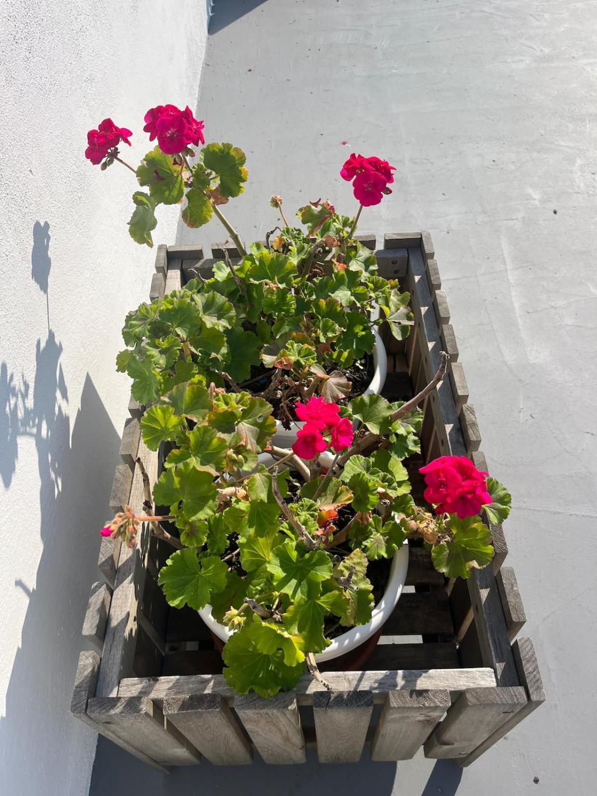 Monteverde Double Terrace Penthouse Rom Exterior foto